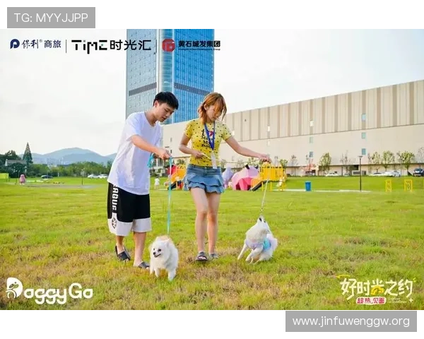 真人网站娱乐娱乐生态系统打造最真实的线上社交与互动体验